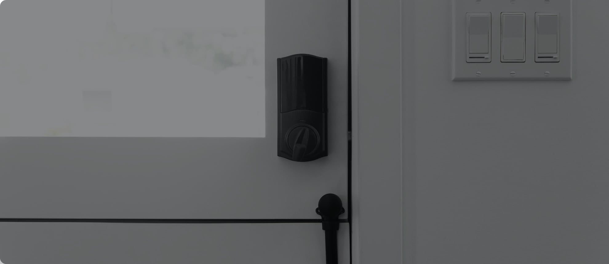 Vivint Smart Lock in St. Paul