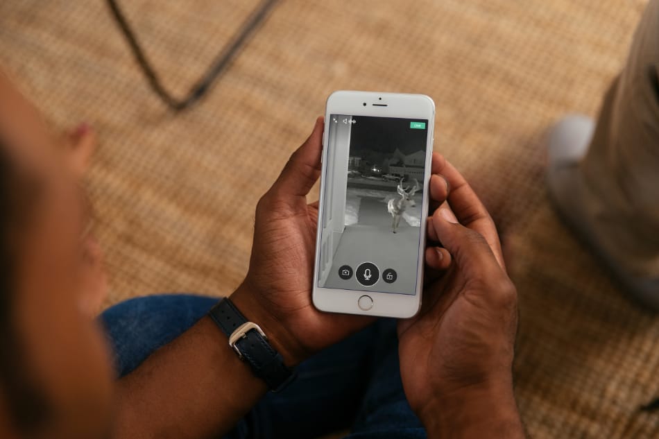 Circle Pines MN security system